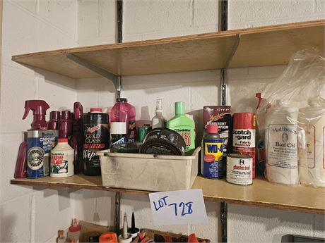 Shelf Cleanout : Car Care / Chemicals & Cleaners