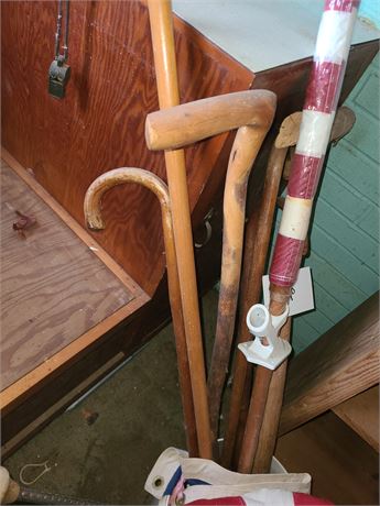 Bucket Full of Canes / Flags & Walking Stick