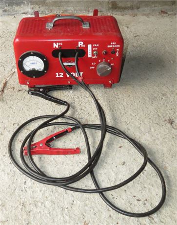 12V Briggs & Stratton Charger