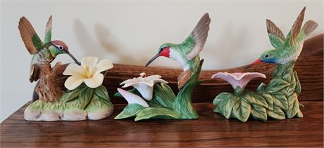 3 Bronson Hummingbirds