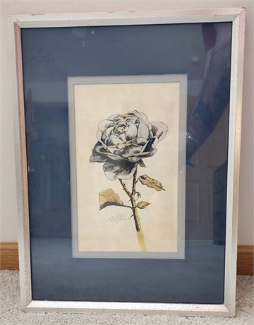 Framed Print