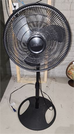 Fan