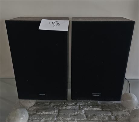 Kenwood Speaker Set