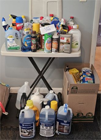 Large Cleaning & Supply Lot - Laundry, Carpet, Polish, Cleaners, and More