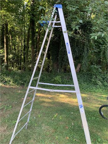 Werner 10 Ft Aluminum Step Ladder