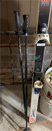 Precision Snow Skis With Poles