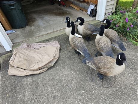 6 Full Size Higdon Goose Decoys with Stands + Avery Ducks Unlimited Bag