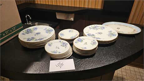 Rossetti China "Meadow Belle" Dinnerware 10" Plates Over 25 Pieces MZ Austria Mo