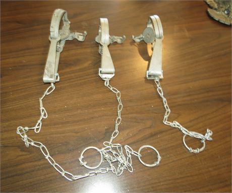 3 Animal Traps