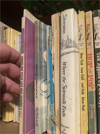 Kids Book Lot - Dr Seuss, Where The Wild Things Are & More