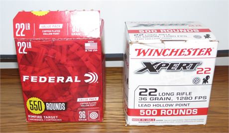 Federal Rim Target & Winchester 22LR Ammunition