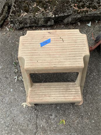 Plastic Step Stool