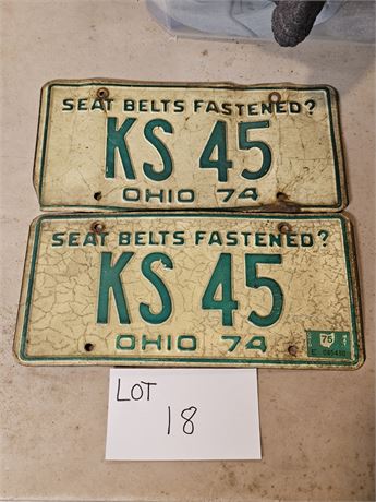 Vintage Ohio 1974 License Plates