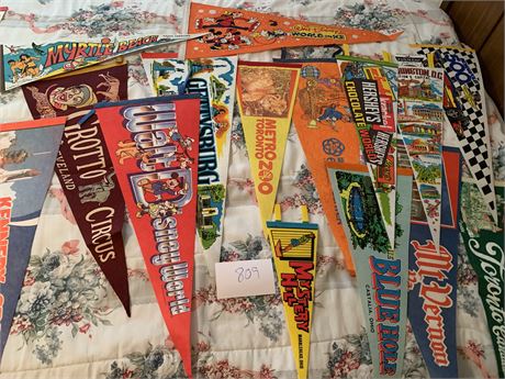 Vintage Souvenir Pennant Lot Disney World Epcot Historical Landmarks Circus Zoos