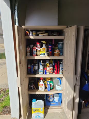 Garage Cleanout: Cleaners/Chemicals/Lawn & Garden & More