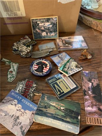 Collectible Souvenir Magnet Lot Mt Rushmore Vegas Florida Chicago & More