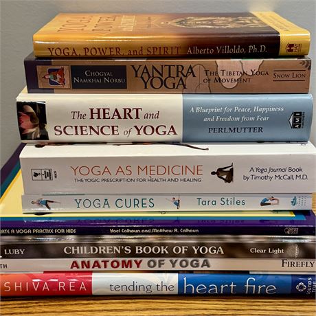 Yoga Related Books Lot