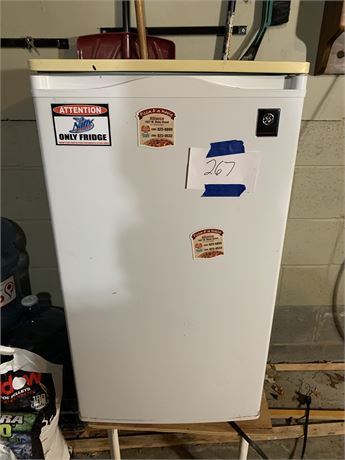 GE Mini Fridge With Stand