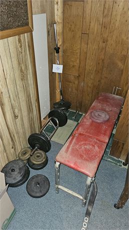 Free Weights & Bars