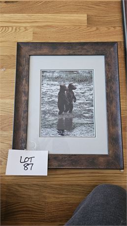 Signed Henry H. Holdsworth Wildlife Photograph Baby Brown Bears