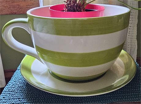 Large Teacup & Saucer Planter