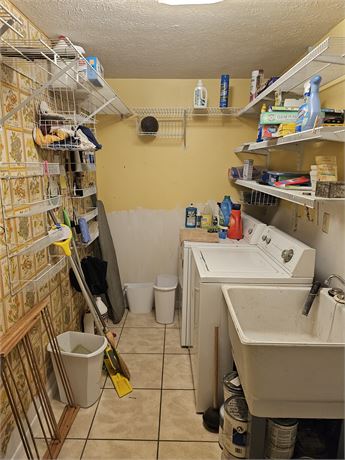Laundry Room Cleanout:Cleaners/Chemicals/Ironing Board & More