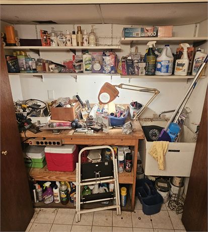 Large Closet Cleanout:Cleaning Supplies/Painting Supplies/Cleaners/Chemicals