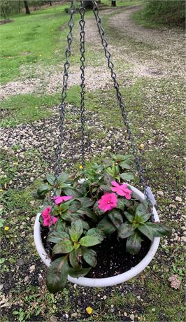 10" Round Plastic Hanging Basket Filled With Assorted Potted Annuals