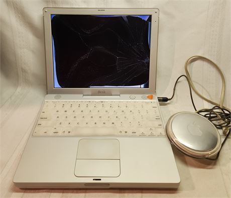 2001 Apple iBook