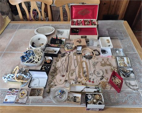 Large Costume Jewelry Lot