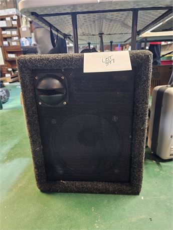 Homemade Speaker in Ported Box