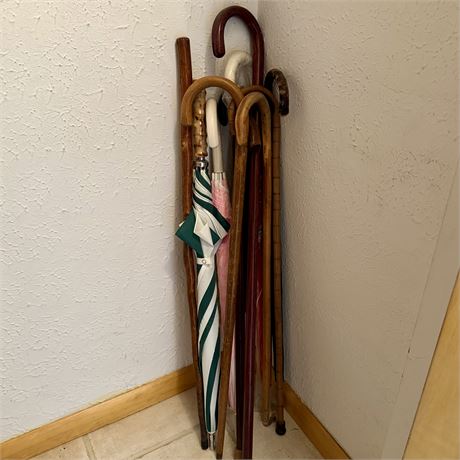 Collection of Canes, Walking Stick and Umbrellas