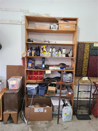 Garage Shelf Cleanout : Cleaners/Chemicals/Auto-Care/Supplies & More