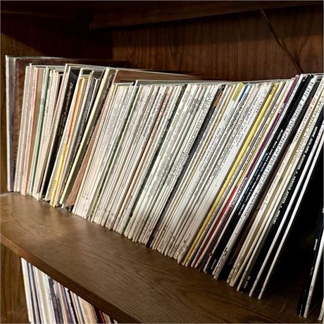 Mixed Vinyl Records Lot - Entire Shelf (2nd from top)