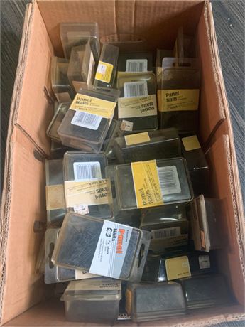 Black Panel Nail Lot