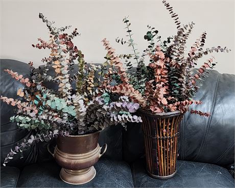 Decorative Eucalyptus Bunch Decor