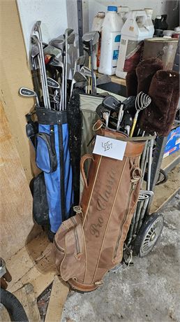 Mixed Golf Club Lot Golden Lady,Ram, Trident & More