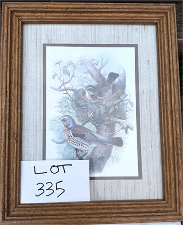 Vintage Framed Bird Print 16” X 14”