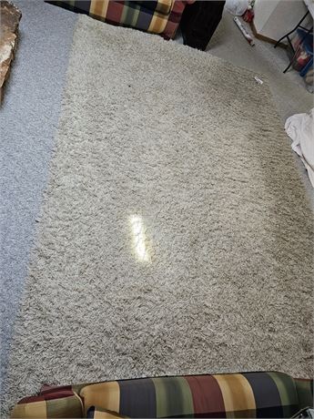 Cream Color Long Shag Area Rug