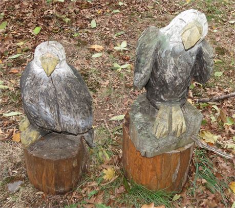 Wood Carved Eagles