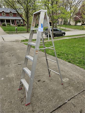 Werner 6ft Ladder Model:366 225lbs Cap.