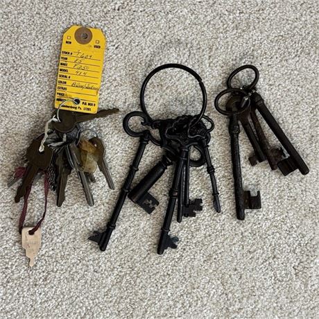 Skeleton Keys (Original & Decorative) + Car Keys Bundle