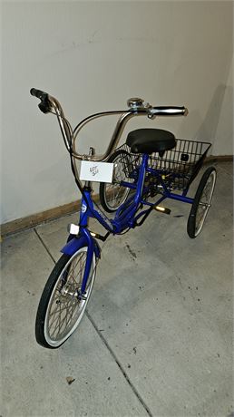 Adventurer 3 Wheel Bike