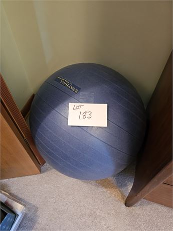 Exercise Ball