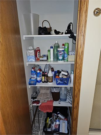 Bathroom Closet Cleanout:Cleaners/Chemicals/Health & Beauty + More