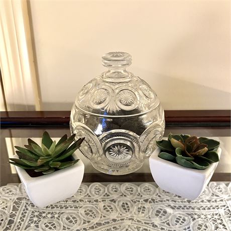 Decorative Glass Sphere Covered Jar/Candy Dish and Faux Succulents