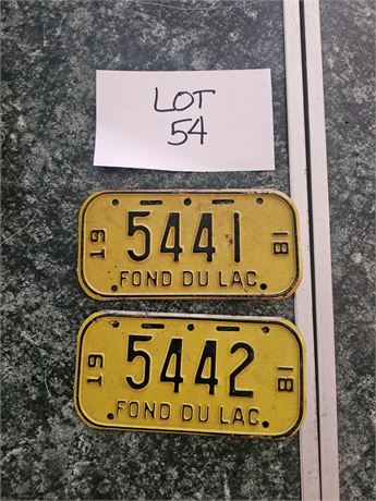 1981 Fond du Lac, Wisconsin Bicycle Plates