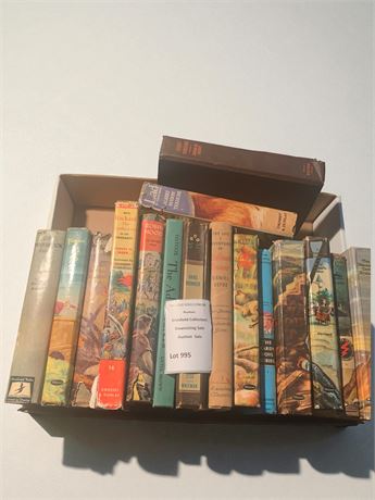 Hardcover Classic Book Lot - Hardy Boys, Robin Hood, Hans Brinker & More