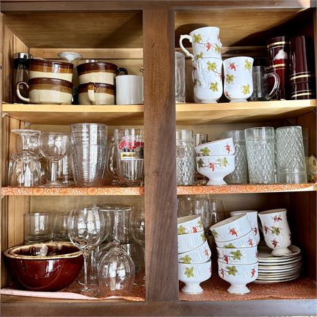 Kitchen Cupboard CLEANOUT