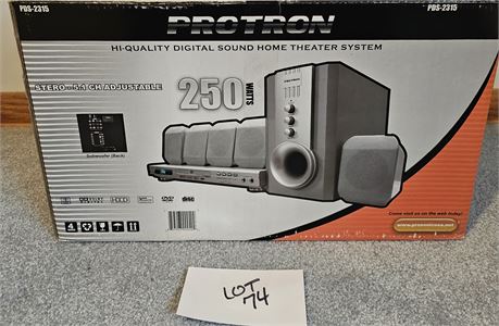 Protron 250 Watt Digital Stereo New In Box